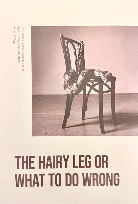 Brochure cover for “The Hairy Leg or What to Do Wrong” at the Frances Lehman Loeb Art Center, Vassar College, April 18–September 24, 2023. The design features a photograph of a wooden chair with a snake draped across the seat and backrest, above the exhibition title in large brown text.