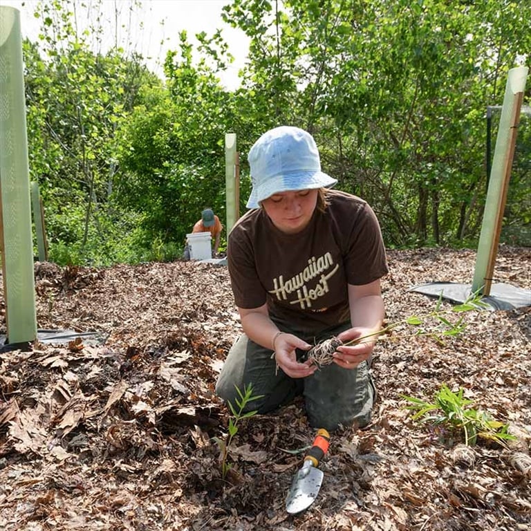 A student wearing a hat and t-shirt kneels on the ground holding a small plant.