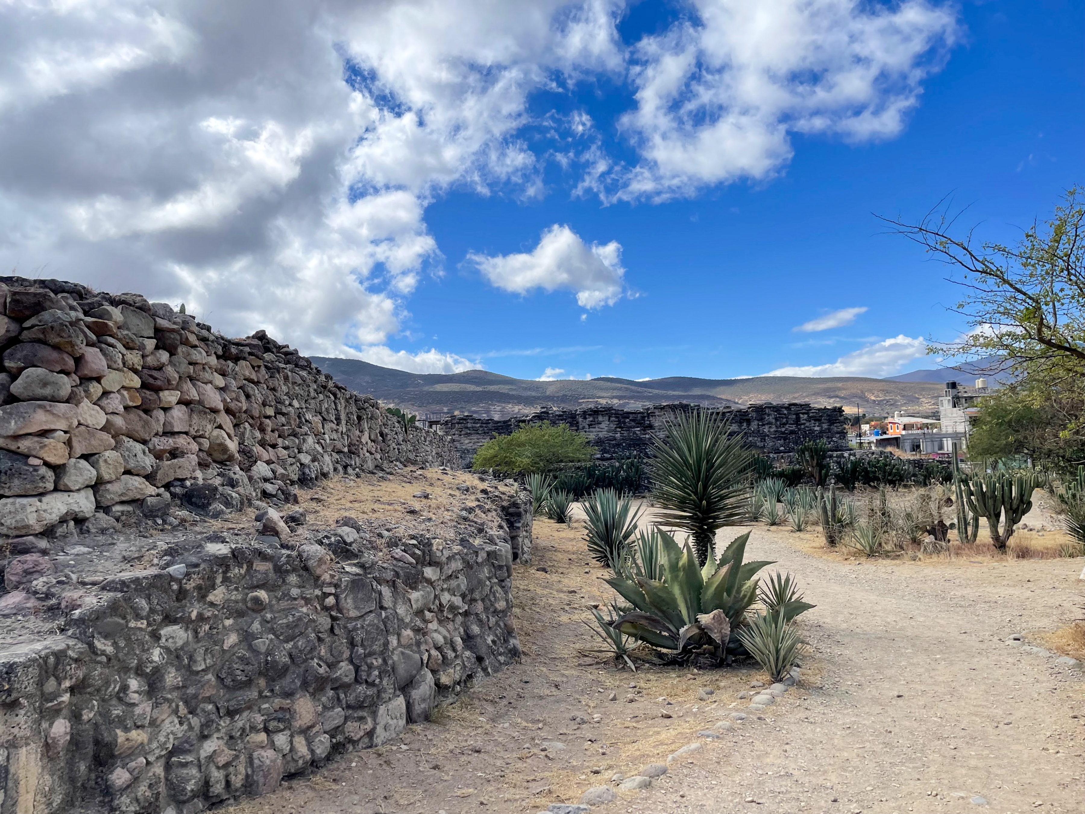 Desert landscape with cacti, a stone wall, and blue skies.