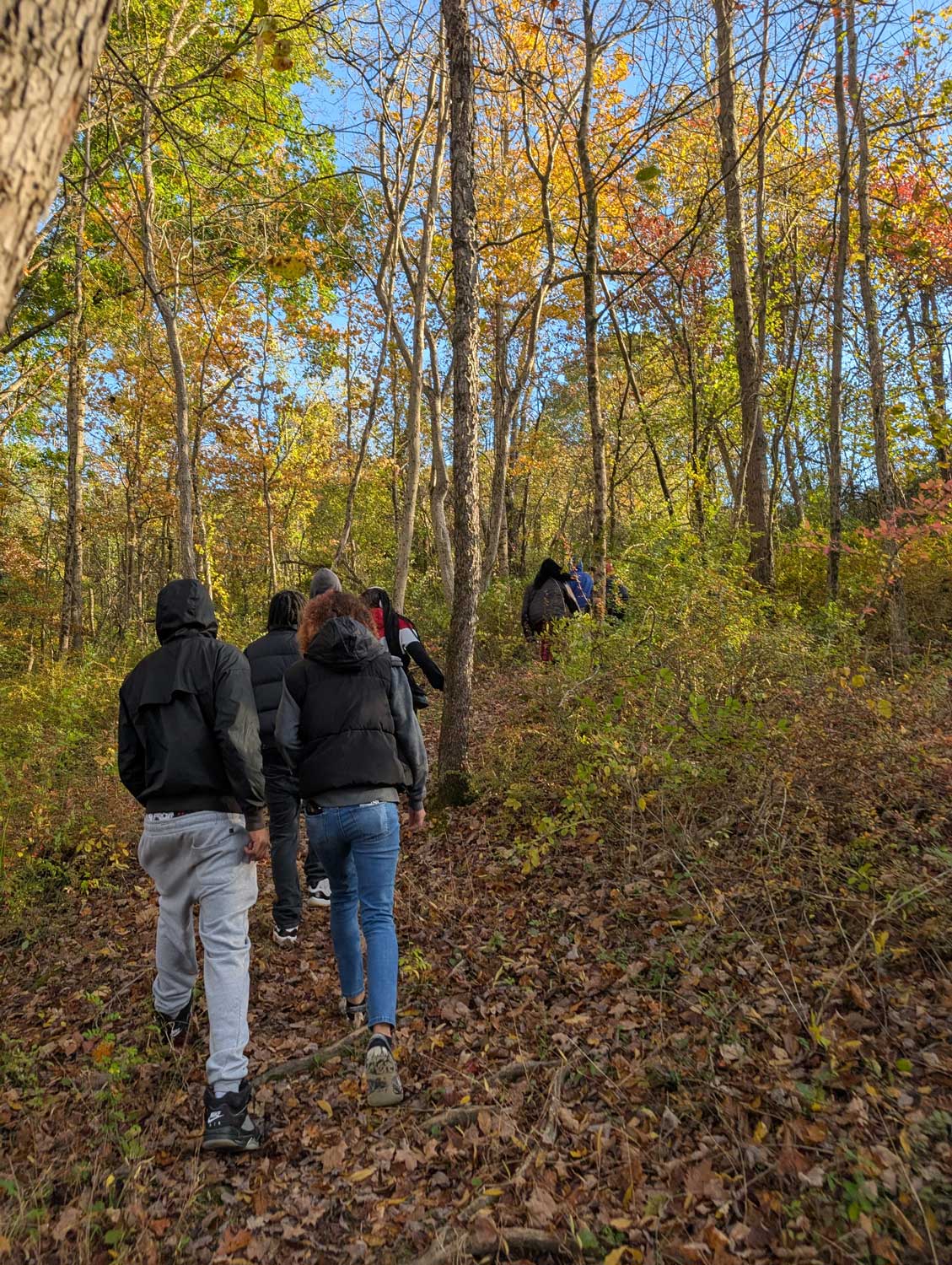 People on a hiking trail with fall foliage.