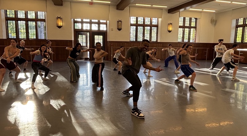 A group of dancers is positioned in a spacious dance studio, with wooden paneling and large windows allowing natural light to fill the room. The dancers are engaged in a choreographed performance, demonstrating various poses and movements. The floor reflects the overhead lights, creating a glossy surface beneath their feet. Light streams through the windows, casting soft shadows on the polished floor, highlighting the energy and dynamism of the group.