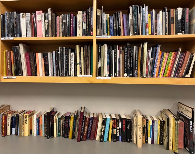 A wooden shelving unit displays an extensive collection of books organized into two sections. The upper shelves contain books with predominantly dark covers, including titles related to dance and performance, while the lower shelf features a mix of colorful spines and varied sizes. The layout showcases a blend of neatly arranged books alongside slightly disordered ones, with some leaning against each other. The overall atmosphere is one of scholarly pursuit.