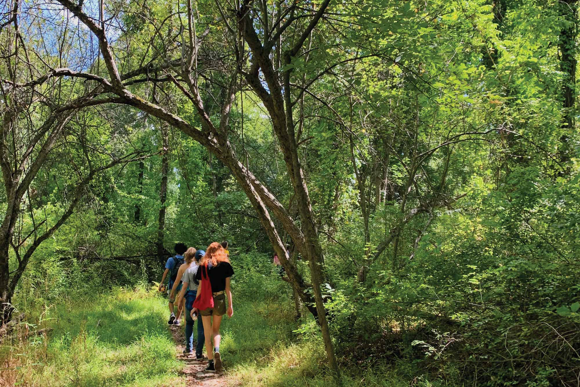 Two people hiking through a green forest.