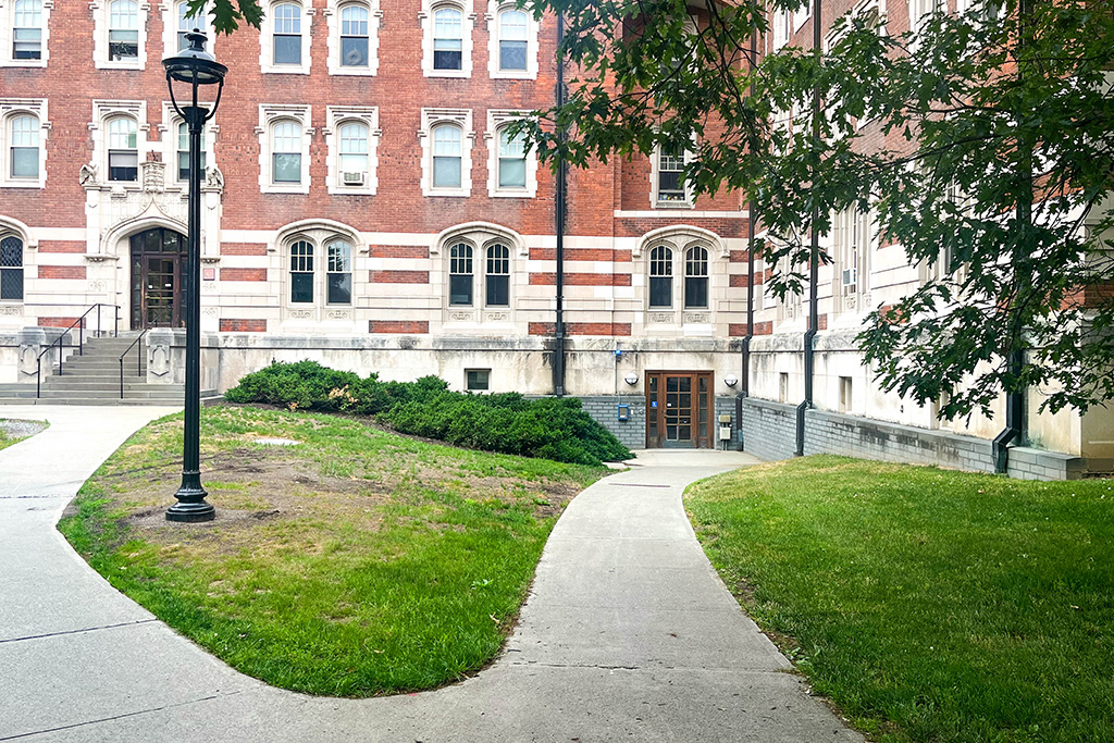 A walkway leading to a building.