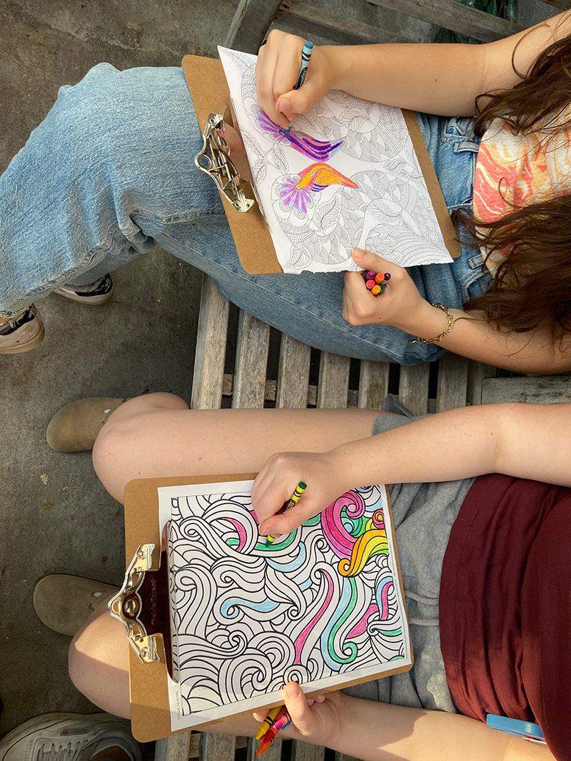 Two people coloring intricate nature-themed designs on clipboards.
