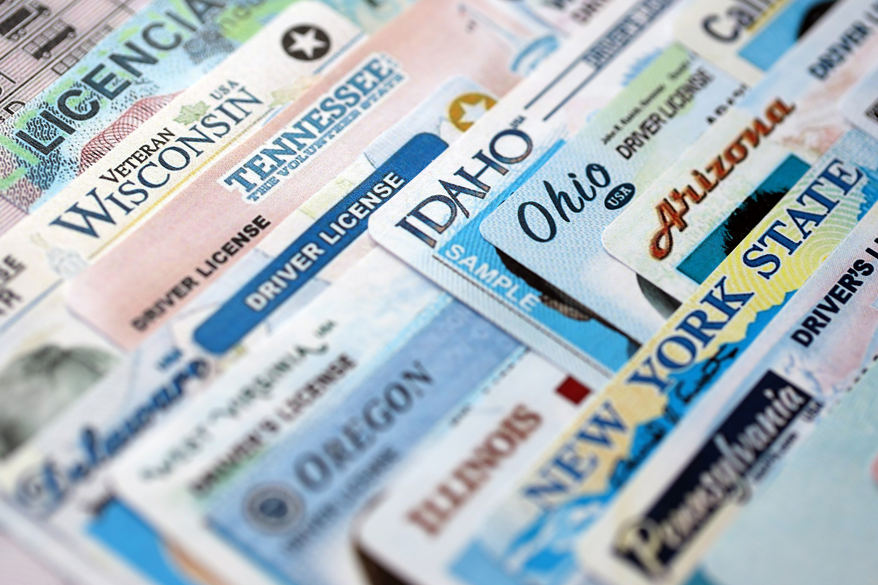 A montage of driver's licenses from different states.