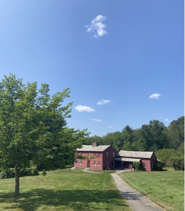 A building nestled among green trees and grass with blue a sky.