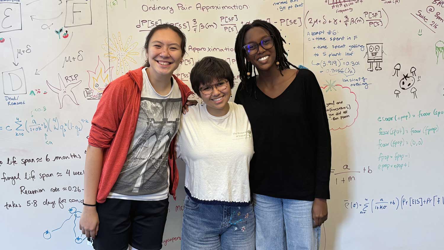 Three smiling people, arm in arm, standing if front of a white board with equations.