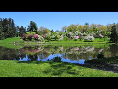 vassar college virtual tour