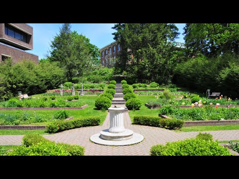 vassar college virtual tour