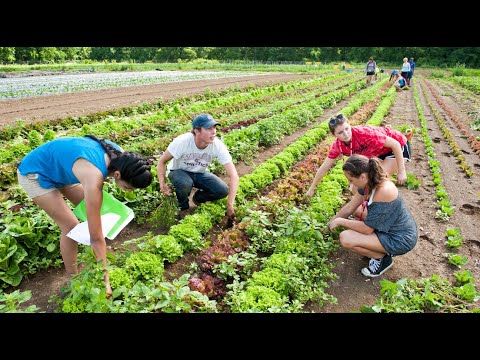 vassar college virtual tour