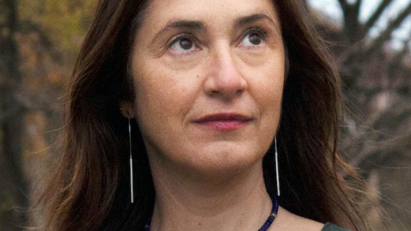 Denise Iris, Assistant Professor of Film, Receives NYSCA Grant for Her ...