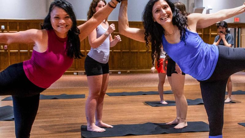 Two people balance side by side in a standing yoga pose, holding hands above their heads. One wears a magenta top and the other wears a blue top with striped leggings. Several participants stand in the background on yoga mats. The setting is a wood-paneled room with warm lighting.