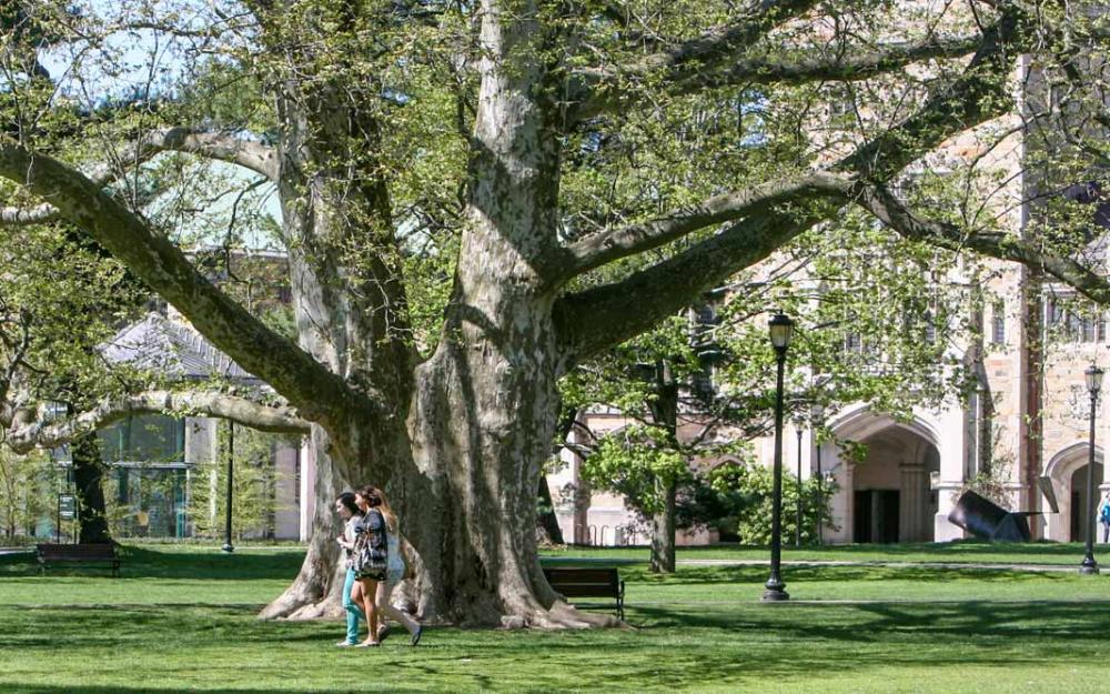 Library quad Vassar College