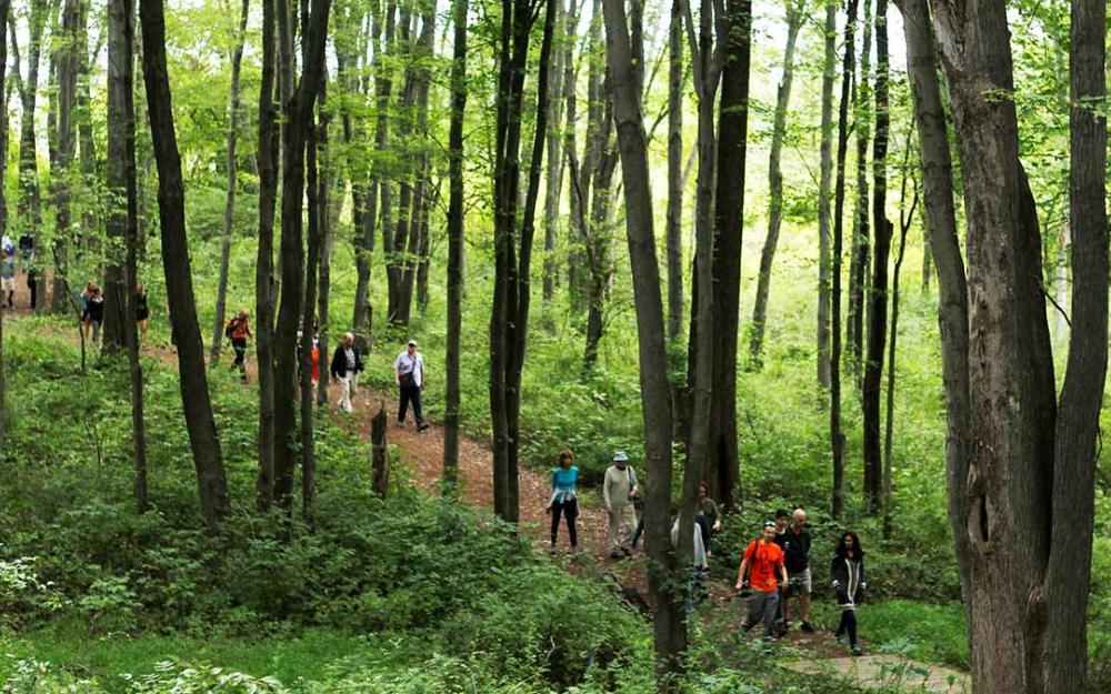 Vassar Farm and Ecological Preserve walking tour.