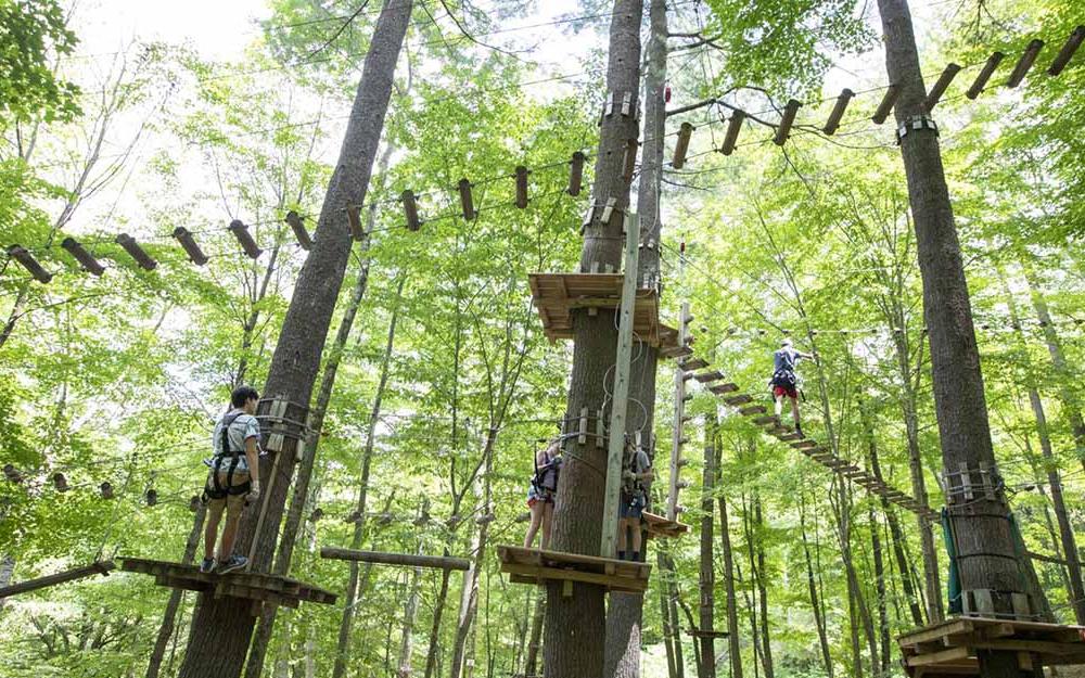 Trees connected by various configurations of cable, wood, and rope with people climbing on them