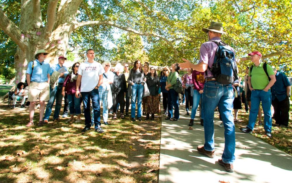 Group of people gathered under a large tree listening to someone talk.