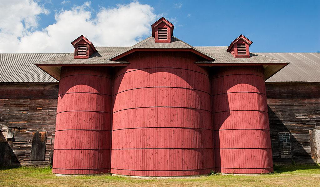 Three red barn silos in front of a long wooden barn on a sunny day.