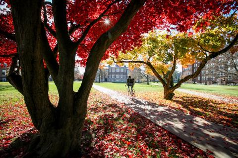 Vassar Campus in the Fall