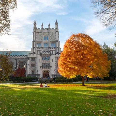 The Thompson Memorial Library, a large, stone building with tall stained-glass windows, viewed on a sunny fall day. In front of it is a grassy quad and a tree with bright orange leaves.