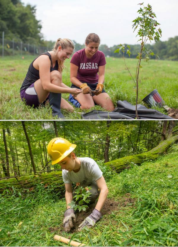 farm student conservation