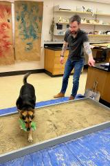 A man guides a dog carrying a toy across a sand-filled track in a laboratory classroom.