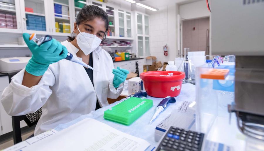 Sufana Noorwez ’24, one of Vassar’s first Beckman Scholars, launched her 14-month research project this summer in a lab in Olmsted Hall.