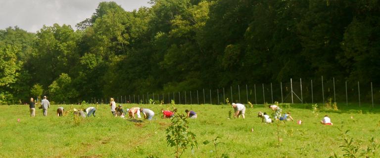 Student Conservation Association’s National Day of Service