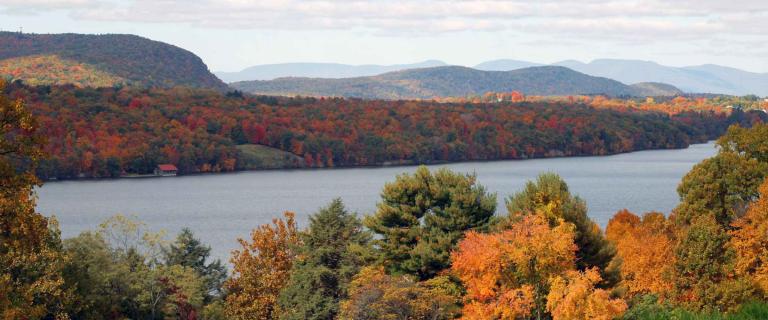 River foliage in the Hudson Valley