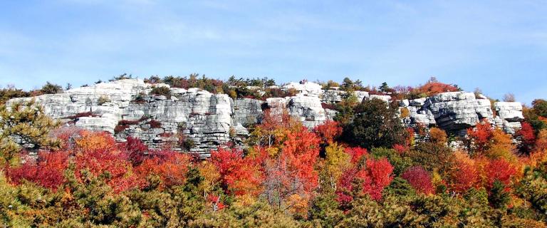 Shawangunk Ridge in fall. Rocky white cliffs rise above a dense forest of autumn foliage in vivid reds, oranges, yellows, and greens under a bright blue sky.