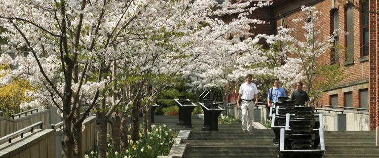 Fisher Passage in the spring © Vassar College/ Tamar M. Thibodeau