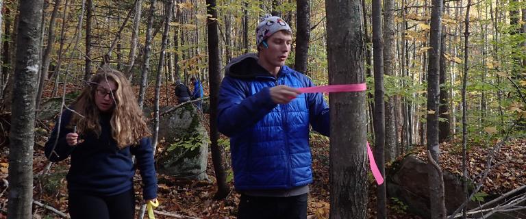 A man and a woman in the forest marking trees with pink ribbons.