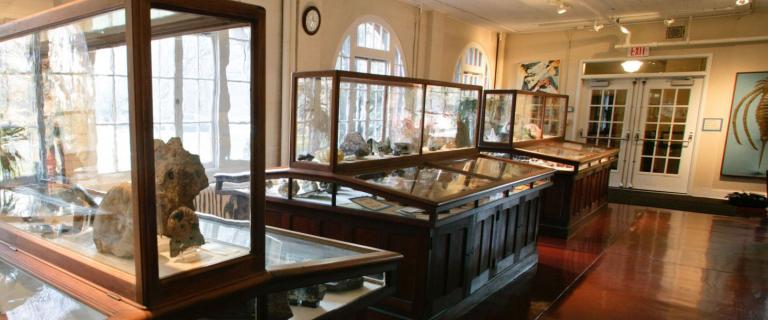 Inside the museum with glass covered cabinets.