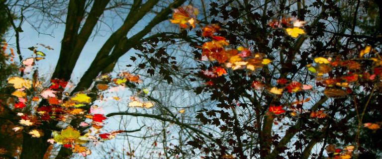 Reflections in Casperkill creek with fall foliage.