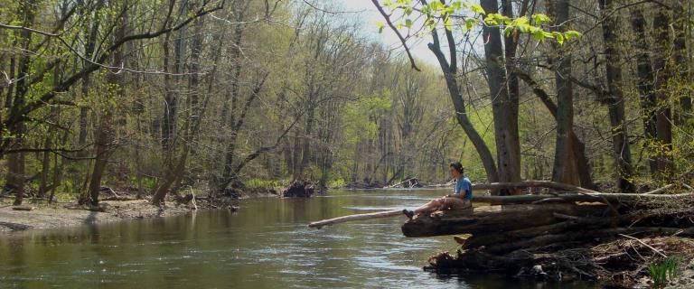 A person sits alone on a large fallen tree trunk overhanging a calm forest river, surrounded by tall trees with early spring leaves.