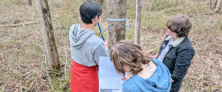 Three people stand in a wooded area conducting field measurements. One person uses a blue diameter tape to measure the trunk of a tree marked with a polka-dot ribbon, while another writes on a clipboard and a third observes.
