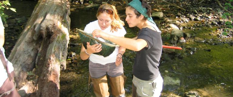 Two people stand in a shallow, rocky stream examining a green net together. Both wearing waders and one with sunglasses on the head, and the other wears a headscarf and leans in to look closely with a fallen log lies beside them on the bank.