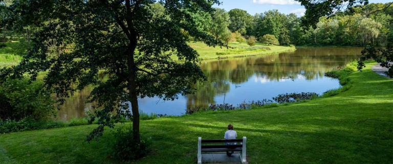View of Sunset Lake with a bench in the foreground and a person sitting on the bench, facing the lake.