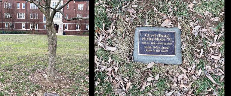 A tree in front of a Vassar dorm with a plaque at its base, and a closeup of the plaque which reads: Carvel (Rusty) Hidlay Moore '51. Feb. 11, 1930 - April 25, 2020. Vassar Held a Special Place in Her Heart.