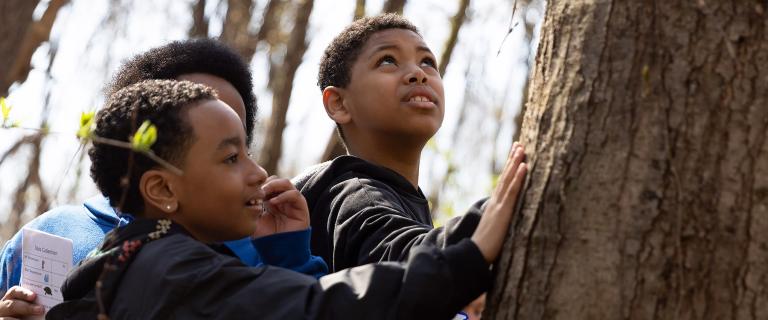 Children participating in an outdoor nature activity examine a large tree trunk in a wooded area while holding a data collection sheet. The group appears focused on observing and learning about the natural environment.