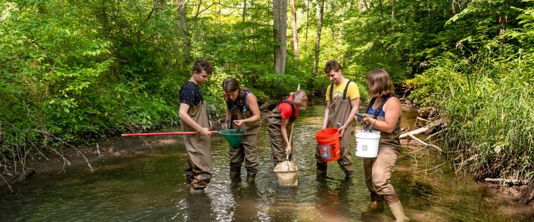 Students wearing waders conduct field research in a wooded stream, using nets and collection buckets to gather and examine aquatic specimens. The group works together in shallow water surrounded by dense vegetation and trees.