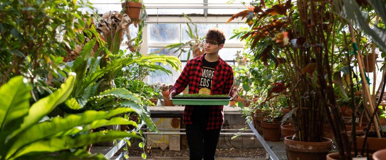 Student carries a tray of seedlings through a greenhouse filled with tropical plants.