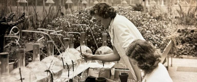 Two students conduct plant research using glass laboratory equipment in a Vassar greenhouse during the 1940s.