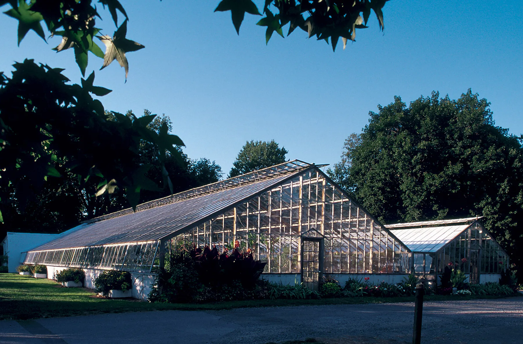 Skinner greenhouse.