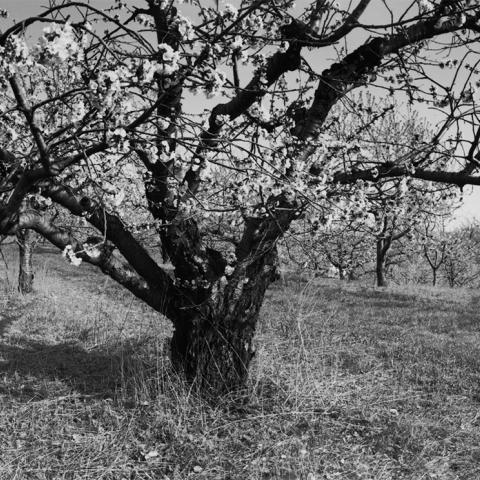 Landscape photo by Eric Lindbloom