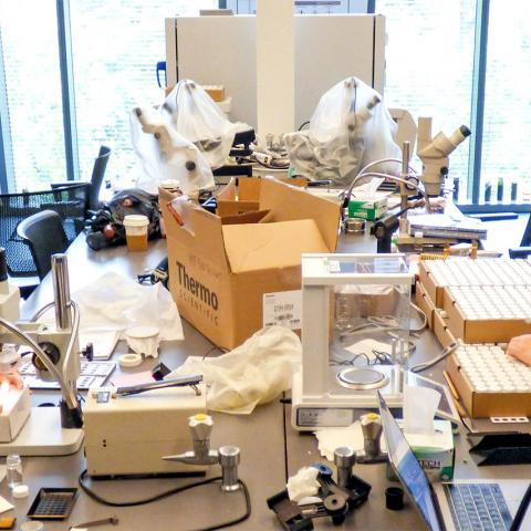 Carter Mucha ‘23 (left) and Elise Poniatowski ‘23 analyze tiny fossils from the Pacific Ocean floor in a lab in the Bridge for Laboratory Science