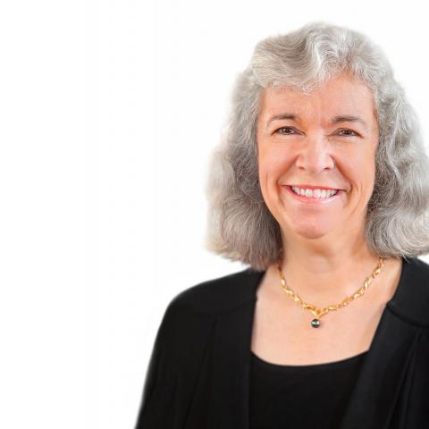 Debra Elmegreen, Professor of Astronomy on the Maria Mitchell Chair