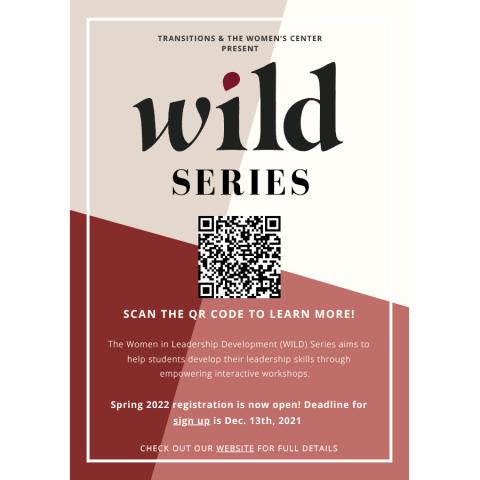 Poster for the WILD workshop series