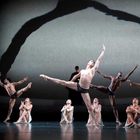 Martha Graham Dance Company