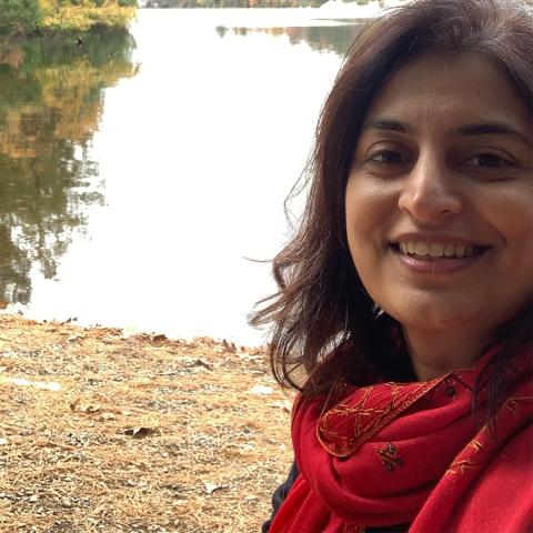 Nosheen Ali, Visiting Associate Professor at the NYU Gallatin School for Individualized Study